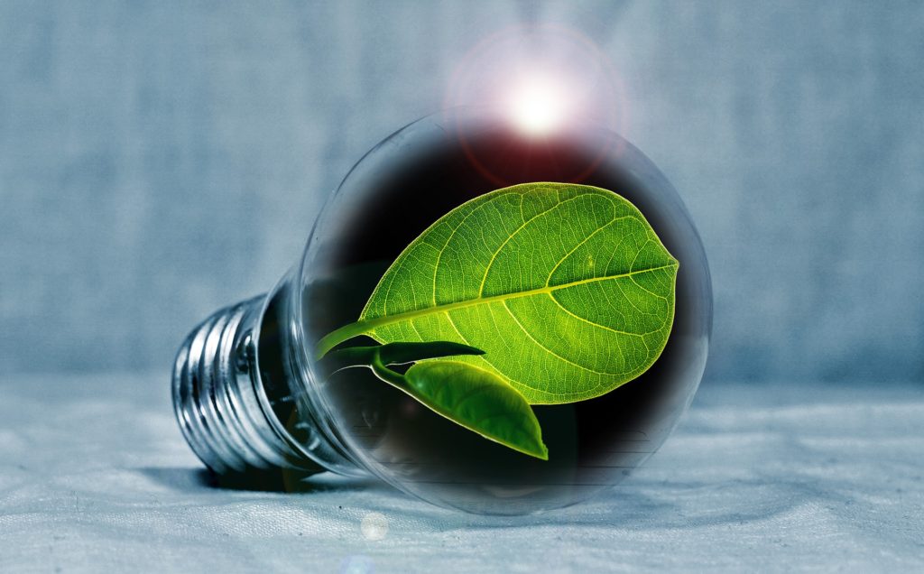 green leaf light bulb solar savior
